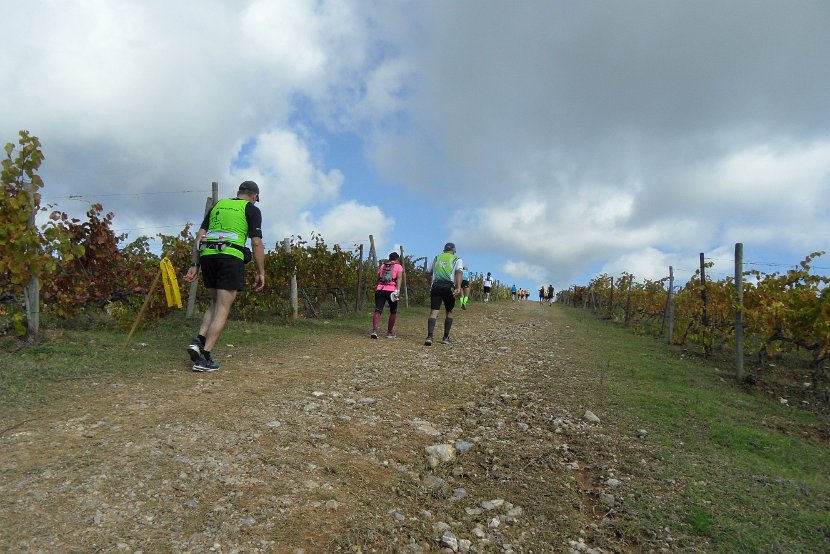 Chianti-1 2016 - 078
